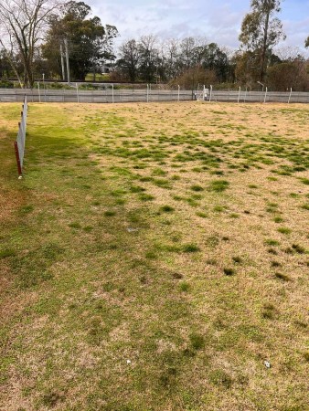 Lote en Greenville Polo y Resort