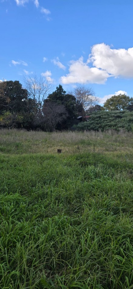 Se vende lote de 2500m2 