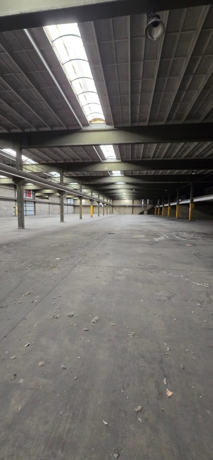 Se alquila nave industrial 10 mil o 20 mil m2
