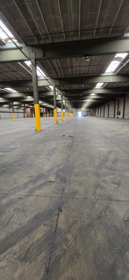 Se alquila nave industrial 10 mil o 20 mil m2