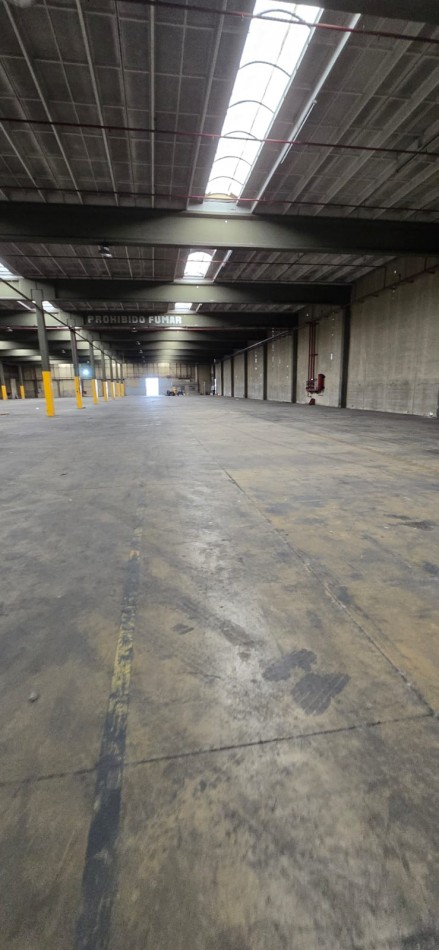 Se alquila nave industrial 10 mil o 20 mil m2